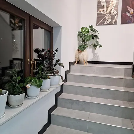 Male Ciche 36j Przy Ostrewkach, Widok Na Gory, Blisko Do Wyciagu Narciarskiego, Idealne Miejsce Na Wypad W Gory -tarasowka-zgorzelisko-rusinowa Polana-gesia Szyja-palenica-wiktorowki-morskie Oko Pensionat Murzasichle